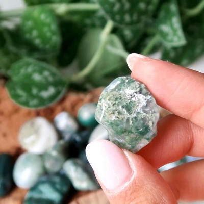 AGATA&#x20;MUSGO&#x20;ROLADA