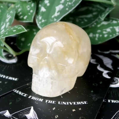 CAVEIRA&#x20;-&#x20;GOLDEN&#x20;HEALER