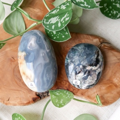 PALM&#x20;JASPE&#x20;OCEANO