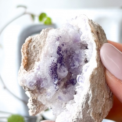 GEODO&#x20;SPIRIT&#x20;FLOWER&#x20;MEDIA