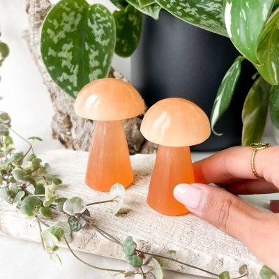 COGUMELO&#x20;SELENITE