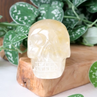 CAVEIRA&#x20;-&#x20;GOLDEN&#x20;HEALER