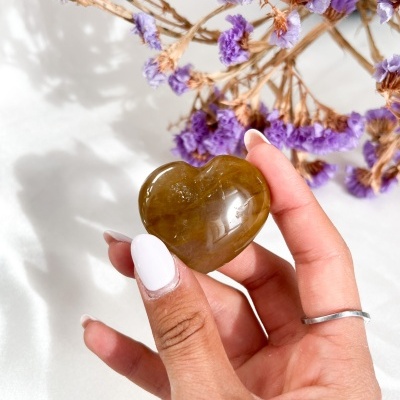 CORA&#x00C7;&#x00C3;O&#x20;DE&#x20;GOLDEN&#x20;HEALER