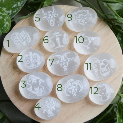 PALM&#x20;SELENITE&#x20;SIGNO