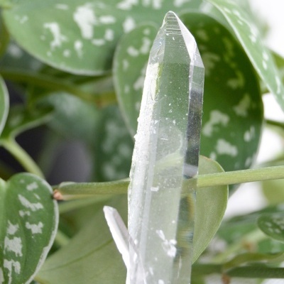 QUARTZO&#x20;CRISTAL&#x20;LEMURIANO