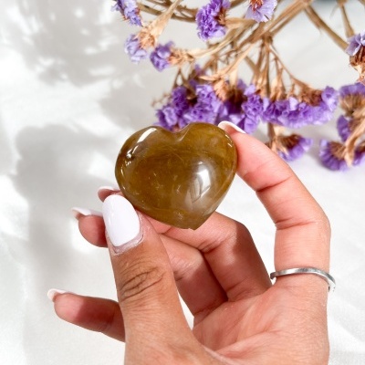 CORA&#x00C7;&#x00C3;O&#x20;DE&#x20;GOLDEN&#x20;HEALER