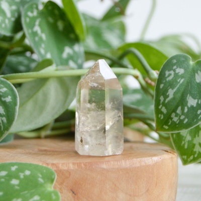 GERADOR&#x20;CITRINO&#x20;NATURAL