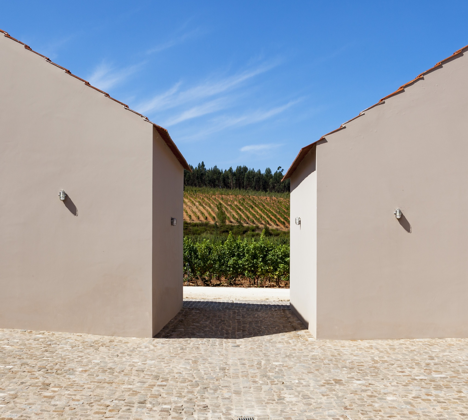 Prova de 5 vinhos com um Membro da Família