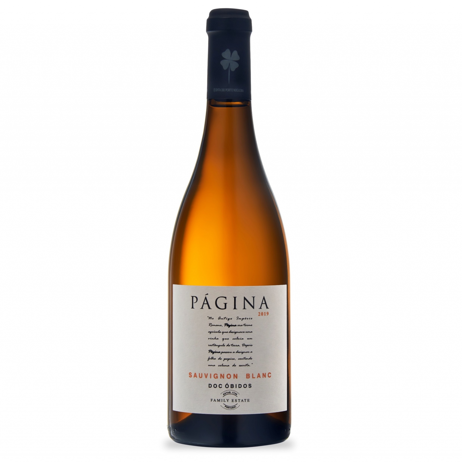PÁGINA Sauvignon Blanc 2019