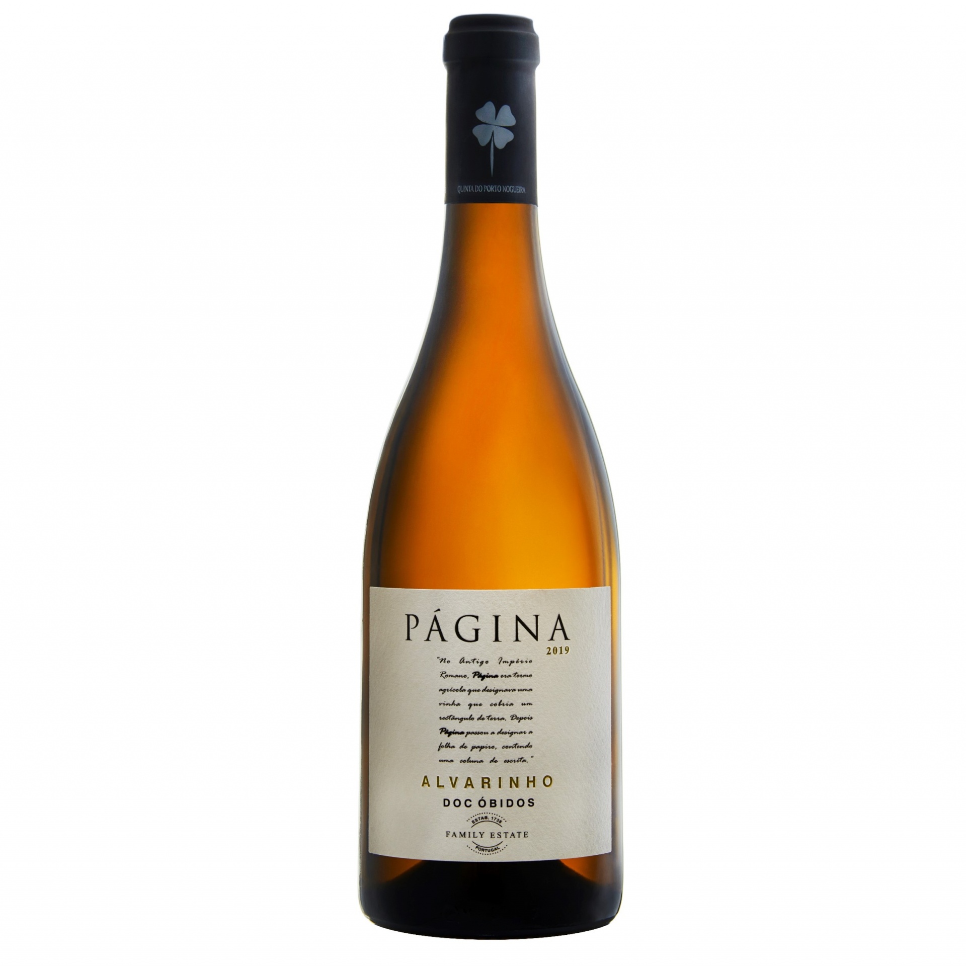 PÁGINA Alvarinho 2019