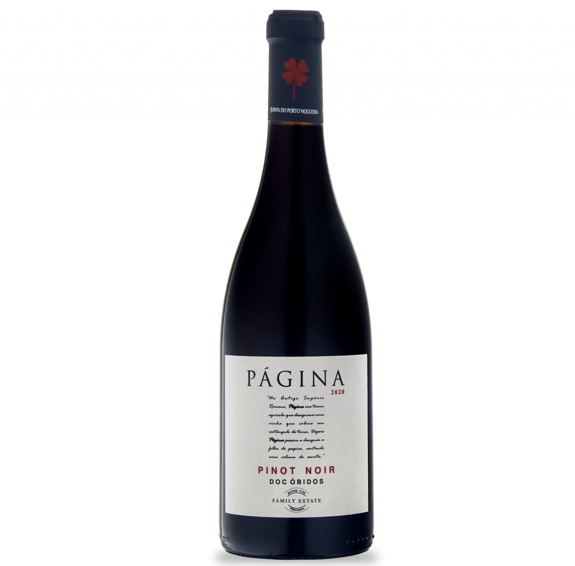 PÁGINA Pinot Noir 2020