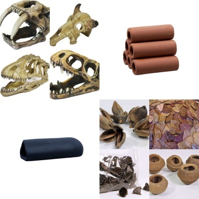 Esconderijos/Botânicos