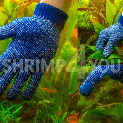 Algo Wipe - Hobby Algo Wipe - Hobby