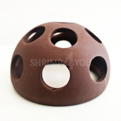 Shrimp Playground - Abrigos cerâmica