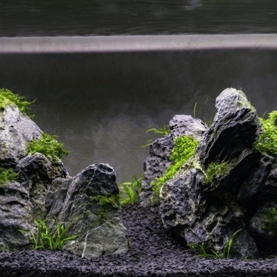 Areão de Basalto negro