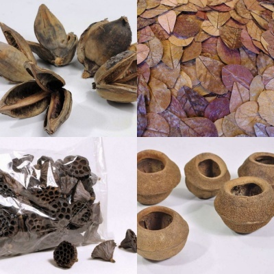 Naturais (Botânicos)