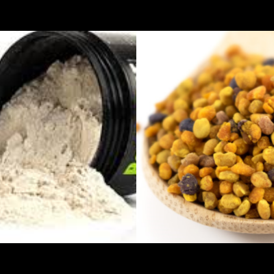 Suplementos/Bactérias/Sistema imunitário Suplementos/Bactérias/Sistema imunitário