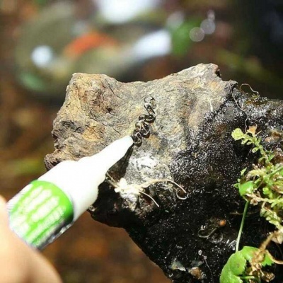 Aquascaping Glue Aquascaping Glue