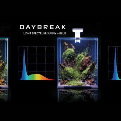 Aquael Shrimp Set Day & Night 10L