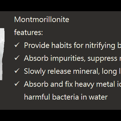 SL-aqua Montmorillonite Clay (em Pedra)
