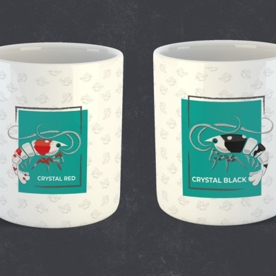 Merchandising & colecionáveis