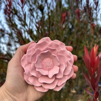 ✨🌸 Camélia dos Sonhos 🌸✨