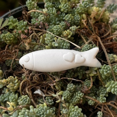 Sardinha com corações