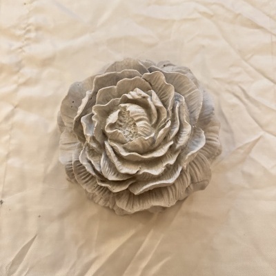 Peônia Gigante Cinzenta