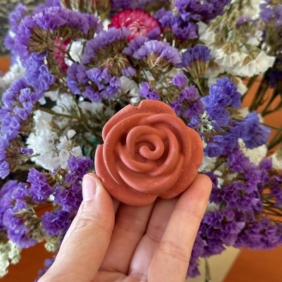 🌹✨ Rosa Encanto