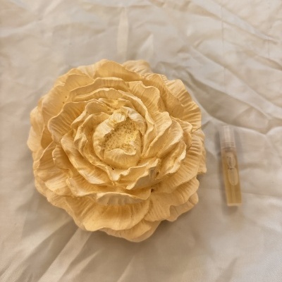 Pêonia Gigante Laranja Claro