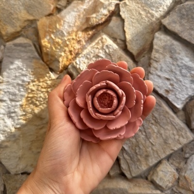 🌸✨ Camélia ✨🌸