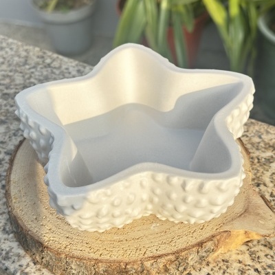 Estrela do Mar organizadora