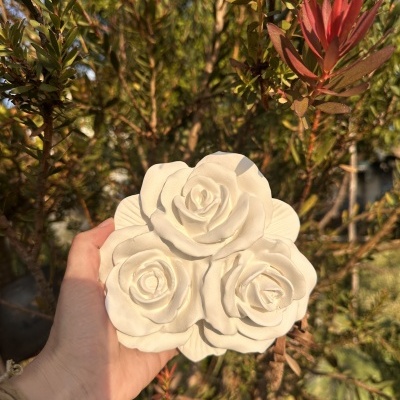 Trio de Encanto 🌹🌹🌹