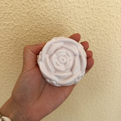 Rosa do Jardim Secreto 🌿