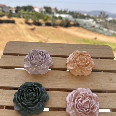 🌸✨ Peónias pequenas