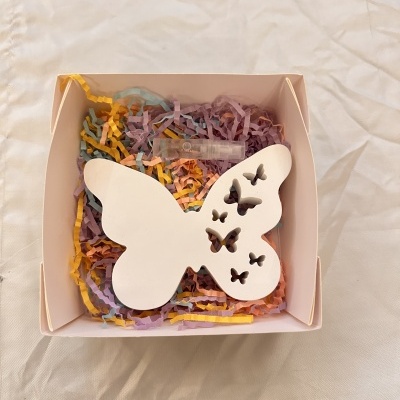 Borboleta dos Sonhos 🦋