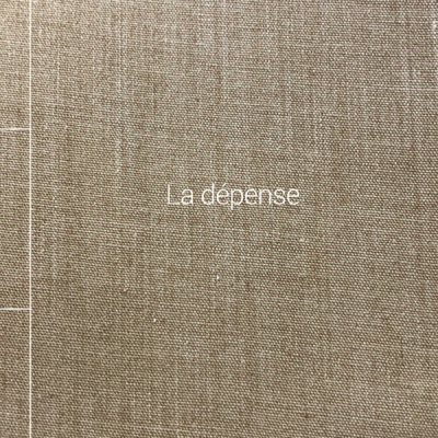 La dépense