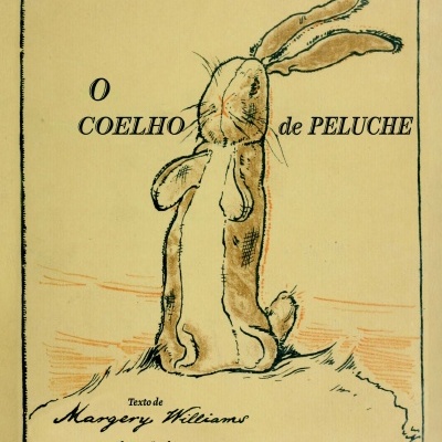 O Coelho de Peluche
