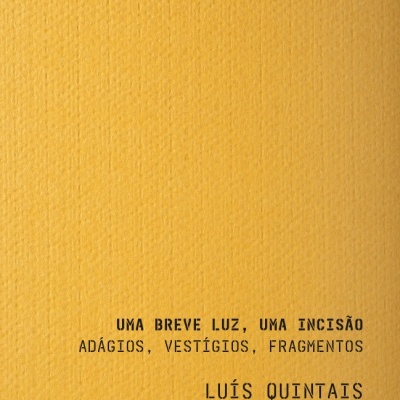 Uma Breve Luz, Uma Incisão – Adágios, Vestígios, Fragmentos