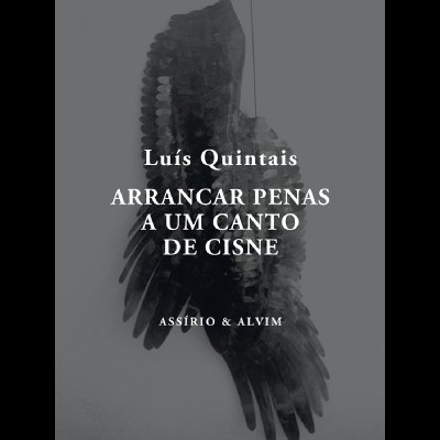 Arrancar Penas a um Canto de Cisne