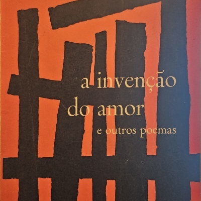A Invenção do Amor