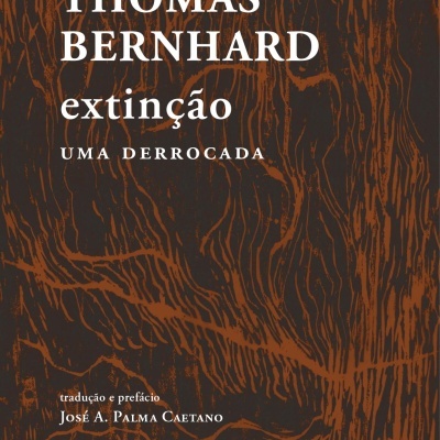 EXTINÇÃO