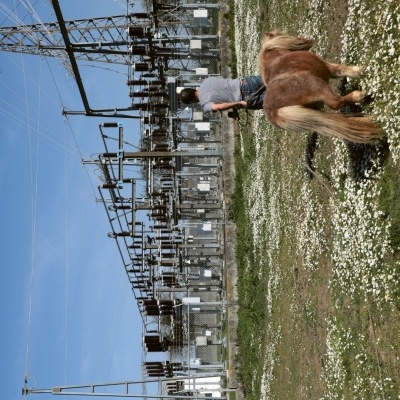 Paisagens Transgénicas
