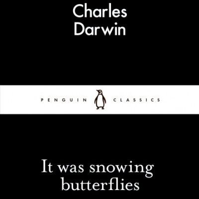 It Was Snowing Butterflies