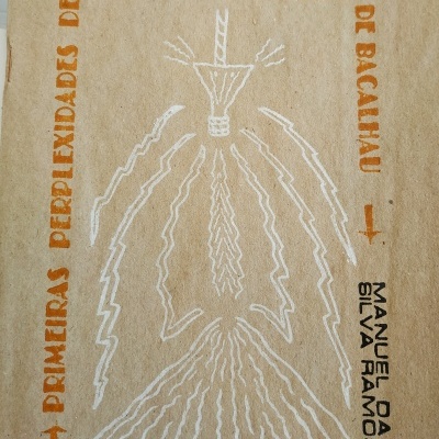 Primeiras Perplexidades de um Homem Vestido de Bacalhau