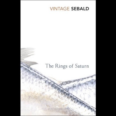 The Rings of Saturn - W G Sebald