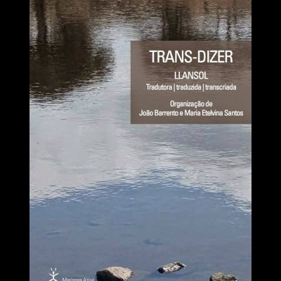 Trans-Dizer