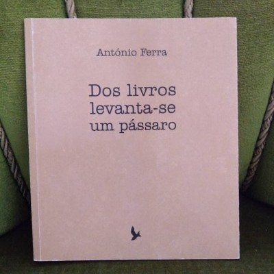 Dos livros levanta-se um pássaro