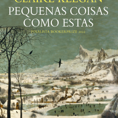 Pequenas Coisas como Estas