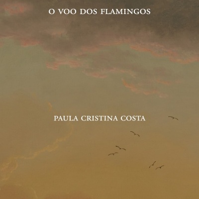 O VOO DOS FLAMINGOS